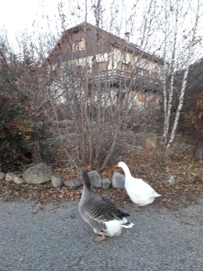 Petit Appartement En Montagne Saint-Julien-en-Champsaur Dış mekan fotoğraf
